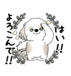 シーズー犬 2025 「丁寧な言葉・気遣い」（個別スタンプ：8）