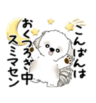 シーズー犬 2025 「丁寧な言葉・気遣い」（個別スタンプ：10）
