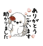 シーズー犬 2025 「丁寧な言葉・気遣い」（個別スタンプ：12）