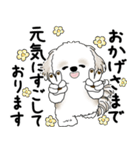 シーズー犬 2025 「丁寧な言葉・気遣い」（個別スタンプ：13）