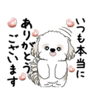 シーズー犬 2025 「丁寧な言葉・気遣い」（個別スタンプ：15）