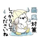 シーズー犬 2025 「丁寧な言葉・気遣い」（個別スタンプ：17）