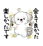 シーズー犬 2025 「丁寧な言葉・気遣い」（個別スタンプ：19）