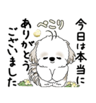 シーズー犬 2025 「丁寧な言葉・気遣い」（個別スタンプ：20）
