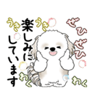 シーズー犬 2025 「丁寧な言葉・気遣い」（個別スタンプ：23）