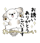 シーズー犬 2025 「丁寧な言葉・気遣い」（個別スタンプ：24）