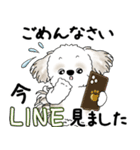 シーズー犬 2025 「丁寧な言葉・気遣い」（個別スタンプ：26）