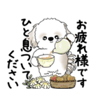 シーズー犬 2025 「丁寧な言葉・気遣い」（個別スタンプ：28）