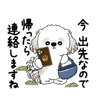 シーズー犬 2025 「丁寧な言葉・気遣い」（個別スタンプ：30）