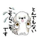 シーズー犬 2025 「丁寧な言葉・気遣い」（個別スタンプ：31）