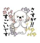 シーズー犬 2025 「丁寧な言葉・気遣い」（個別スタンプ：32）