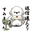 シーズー犬 2025 「丁寧な言葉・気遣い」（個別スタンプ：33）