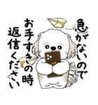 シーズー犬 2025 「丁寧な言葉・気遣い」（個別スタンプ：34）