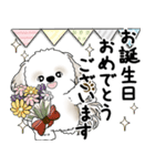 シーズー犬 2025 「丁寧な言葉・気遣い」（個別スタンプ：36）