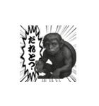 "リアルカッパ"の一日（個別スタンプ：12）