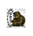 "リアルカッパ"の一日（個別スタンプ：13）