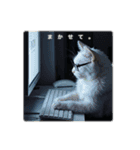 ねこのチビと仲間たち（個別スタンプ：13）