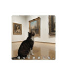 ねこのチビと仲間たち（個別スタンプ：16）