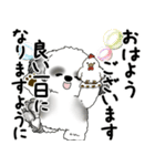 B＆Wシーズー犬 2025 「丁寧語・気遣い」（個別スタンプ：2）