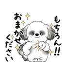 B＆Wシーズー犬 2025 「丁寧語・気遣い」（個別スタンプ：4）