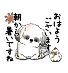 B＆Wシーズー犬 2025 「丁寧語・気遣い」（個別スタンプ：5）