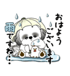 B＆Wシーズー犬 2025 「丁寧語・気遣い」（個別スタンプ：6）