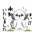 B＆Wシーズー犬 2025 「丁寧語・気遣い」（個別スタンプ：7）