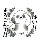 B＆Wシーズー犬 2025 「丁寧語・気遣い」（個別スタンプ：8）