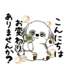 B＆Wシーズー犬 2025 「丁寧語・気遣い」（個別スタンプ：9）