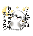 B＆Wシーズー犬 2025 「丁寧語・気遣い」（個別スタンプ：10）