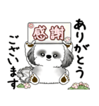 B＆Wシーズー犬 2025 「丁寧語・気遣い」（個別スタンプ：11）