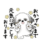 B＆Wシーズー犬 2025 「丁寧語・気遣い」（個別スタンプ：13）