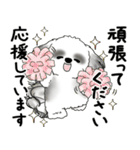 B＆Wシーズー犬 2025 「丁寧語・気遣い」（個別スタンプ：14）