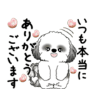 B＆Wシーズー犬 2025 「丁寧語・気遣い」（個別スタンプ：15）