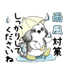 B＆Wシーズー犬 2025 「丁寧語・気遣い」（個別スタンプ：17）