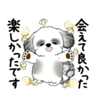 B＆Wシーズー犬 2025 「丁寧語・気遣い」（個別スタンプ：19）
