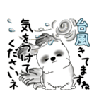 B＆Wシーズー犬 2025 「丁寧語・気遣い」（個別スタンプ：21）