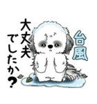 B＆Wシーズー犬 2025 「丁寧語・気遣い」（個別スタンプ：22）