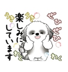 B＆Wシーズー犬 2025 「丁寧語・気遣い」（個別スタンプ：23）