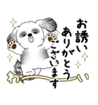 B＆Wシーズー犬 2025 「丁寧語・気遣い」（個別スタンプ：24）