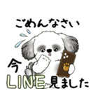 B＆Wシーズー犬 2025 「丁寧語・気遣い」（個別スタンプ：26）