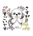 B＆Wシーズー犬 2025 「丁寧語・気遣い」（個別スタンプ：32）