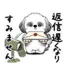 B＆Wシーズー犬 2025 「丁寧語・気遣い」（個別スタンプ：33）