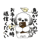 B＆Wシーズー犬 2025 「丁寧語・気遣い」（個別スタンプ：34）