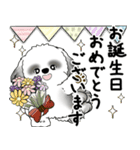 B＆Wシーズー犬 2025 「丁寧語・気遣い」（個別スタンプ：36）
