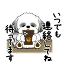 B＆Wシーズー犬 2025 「丁寧語・気遣い」（個別スタンプ：37）