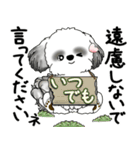 B＆Wシーズー犬 2025 「丁寧語・気遣い」（個別スタンプ：38）
