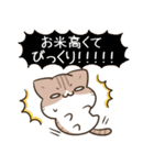 毎日五月病なねこたち 梅雨スタンプ（個別スタンプ：12）