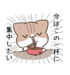 毎日五月病なねこたち 梅雨スタンプ（個別スタンプ：14）