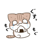 毎日五月病なねこたち 梅雨スタンプ（個別スタンプ：18）